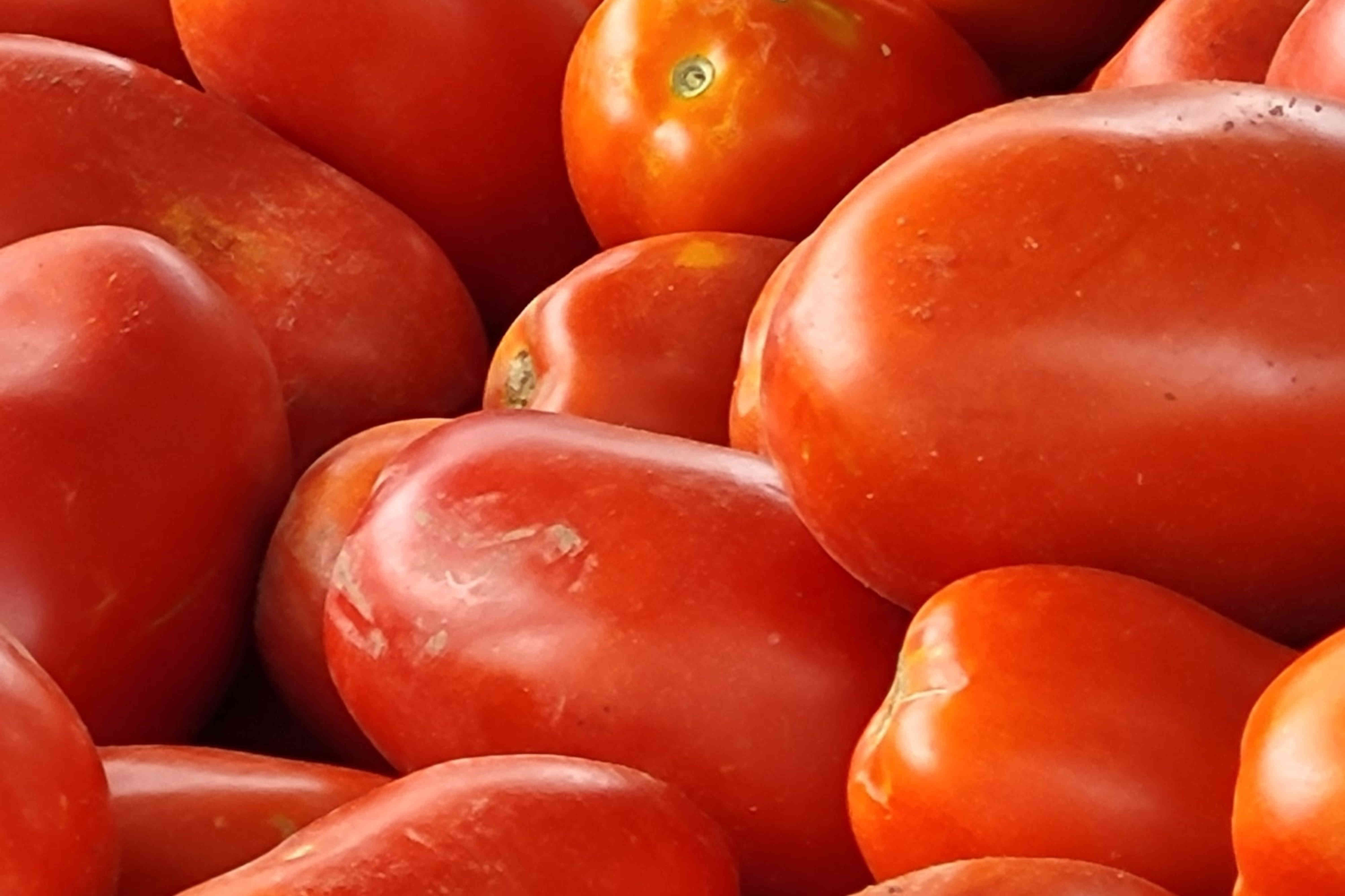 Tomatoes Red
